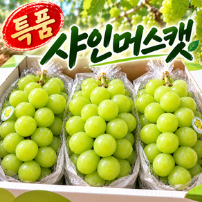 [한정수량] 고당도 특품 샤인머스캣 제철과일 샤인머스켓