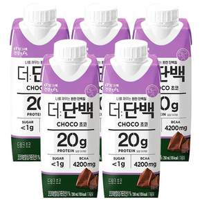 빙그레 더단백 드링크 초코 250ml / 우유단백질 20g 함유 저지방 단백질음료