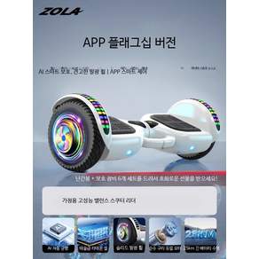 전동 호버보드 카트 두발 전동휠 투휠 레저용