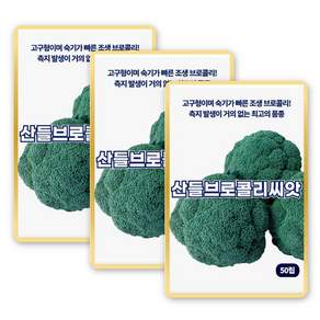 산들 브로콜리 씨앗 50립 고구형 숙기 빠른 품종 소량 브로콜리씨 종자