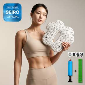 세이로 가정용 에어 지압 스텝퍼
