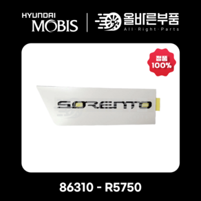 X-LINE 쏘렌토 블랙 색상 쏘렌토 엠블럼 86310R5750