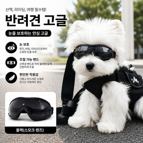퓨처 반려견 고글 선글라스 방풍 강아지 안경 소형견 중형견 외출 보호용 애견 패션 아이템