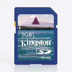 빈티지 디지털 카메라 전용 저용량 1GB SD CARD