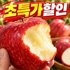 [매일100박스] 고당도선별 제철1위 감홍사과