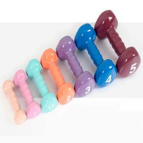 제이하이 PVC 삼각아령 3kg 단품1개 스모키퍼플 등운동덤벨