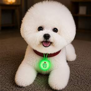 LED 애견 이름표 강아지 인식표 고양이 인식표 맞춤제작 야간산책