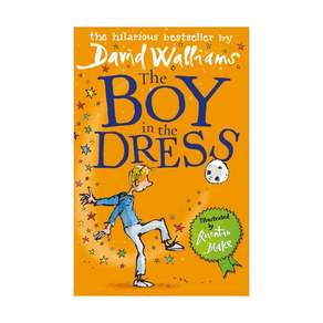 The Boy in the Dress Paperback 영국판 9780007279043 2419896