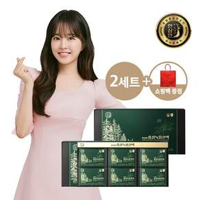 한삼인 홍삼녹용진액 30개입 +쇼핑백