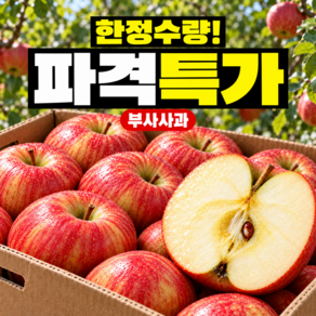[타임특가/재구매율1위] 산지직송 고당도 꿀 부사사과