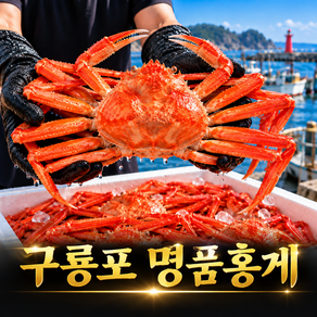 구룡포 자숙 박달 홍게 홍개