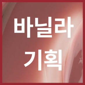 [얼그레이에디션/10월 픽] 퓌 로즈 옵세션 스테이핏 틴트 (기획/단품)