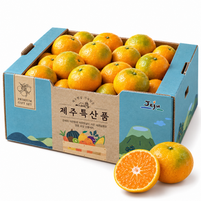 [산지직송] 제주감귤 11Brix 꿀당도선별 노지극조생