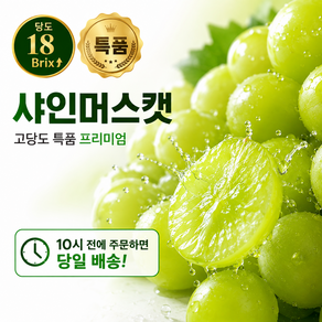 고당도 프리미엄 샤인머스켓 특품