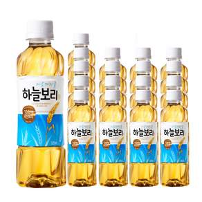 웅진 하늘보리