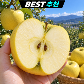 [초고당도] 시나노골드 황금사과 산지직송 골드사과