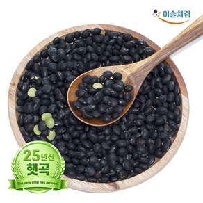 2025년산 국산 서리태 5Kg 속청 검은콩 단콩