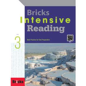 브릭스 Bricks Intensive Reading 3 : Student Book