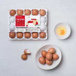[당일산란/당일발송] 가농 1+등급 무항생제 대란 20구(HACCP 인증 계란 달걀)