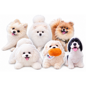 강아지 고양이 포토인형쿠션 반려동물 사진제작 맞춤형 기념선물
