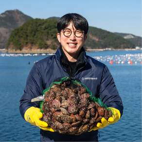 대한민국농수산 통영 산지직송 알이 굵은 제철 세척 가리비