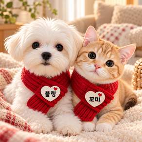 강아지 고양이 이름 야광브로치 겨울 니트 목도리
