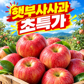 [3차물량완판] 국내산 산지직송 초고당도 부사사과