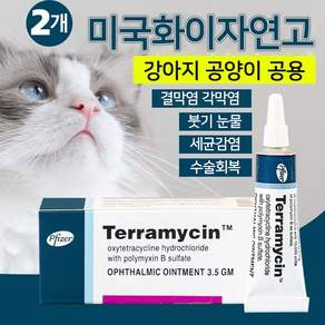 강아지 고양이 눈 전용 케어 크림 C-0352