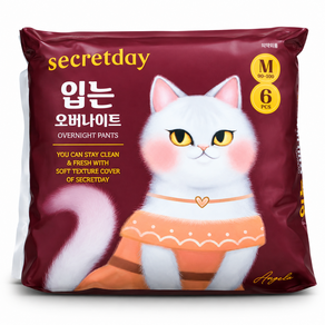 시크릿데이 입는 오버나이트
