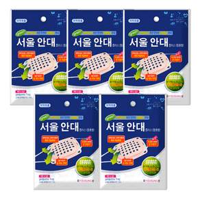 서울 그린안대 플러스 돌출형