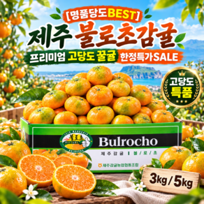 [명품당도BEST] 불로초감귤 프리미엄 고당도 꿀귤