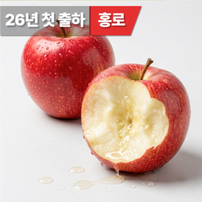 [첫출하특가] 고당도 홍로사과 아삭달콤 청도꿀부사
