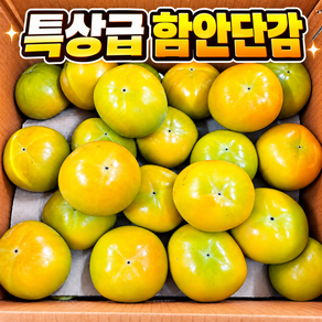 함안 단감 특품 햇단감 [당일출고]