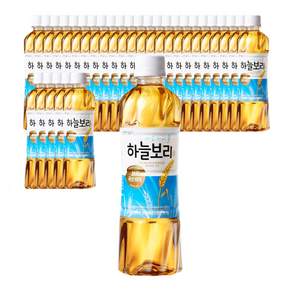 웅진 하늘보리