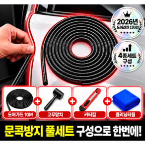플라픽 철통방어 문콕방지 자동차 도어가드 차량 몰딩