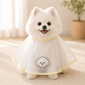 모던플로 강아지 세안보 반려동물 커트보