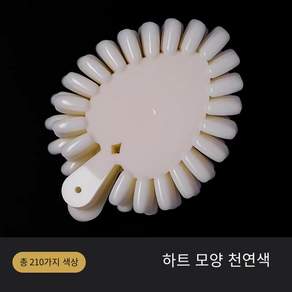네일차트 아트판 칼라 원형 컬러차트 물결