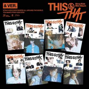 스트레이키즈 THIS & THAT & VER 앨범 본품 창빈
