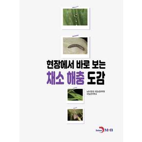 현장에서 바로 보는 채소 해충 도감