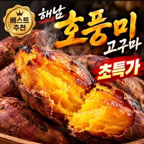 오늘의특가 국내산 세척 산지직송 호풍미 꿀 해남 호박고구마