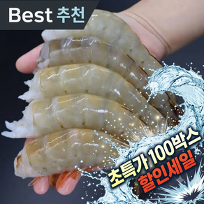 [2주한정 초초특가] 활새우 흰다리새우 회 생새우