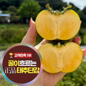 삼시세끼연구소 배맛이 나는 햇 태추 부유 단감 얇은 껍질 정품당도 가정용