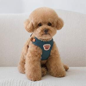 강아지 하네스 소형견 조끼형 가슴줄 산책 목줄 고리 조끼 Y06