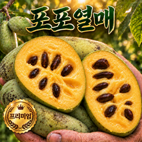 [명품프리미엄] 국내산 포포 열매 생과