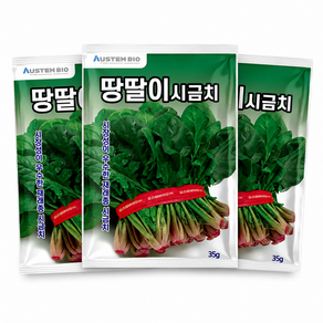 주주씨앗 땅딸이시금치 씨앗 35g 3봉 겨울 월동 재래종 섬초 종자 씨