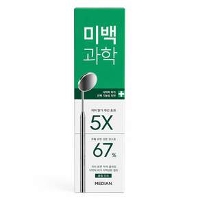 메디안 미백과학 치약 플럼민트향 100G