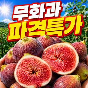[시즌특가] 달콤폭발 100% 국내산 정품 무화과