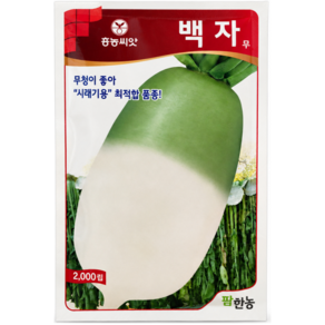 팜한농 백자무 시래기용 무 2000립 몸맵시 맛 시장성 모두 우수한 김장 및 시래기 겸용 팜한농