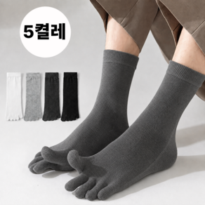 드림이지 사계절 남성 면 발가락양말 중목 5켤레