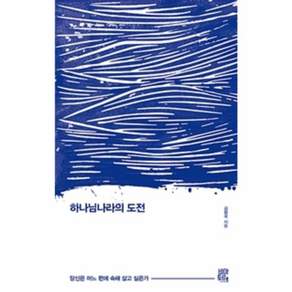 하나님나라의 도전 - 비아토르 김형국